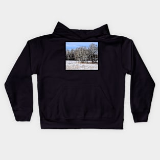 Winter scene from the trail Kids Hoodie